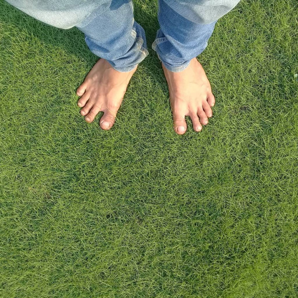 Rumput Jepang 1 Meter Full