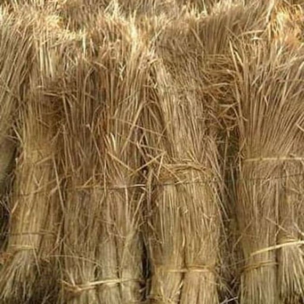 jerami padi kering 1kg