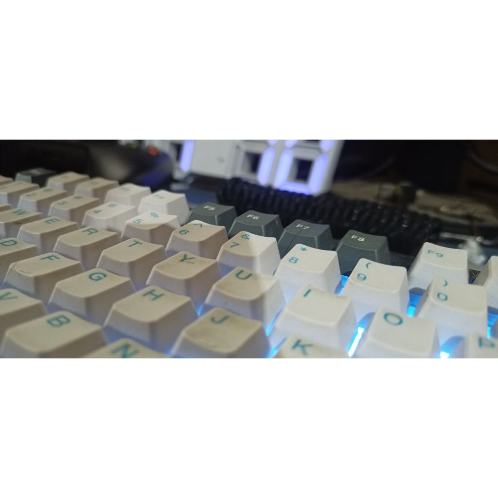 Rexus Daxa M100X Mechanical Keyboard