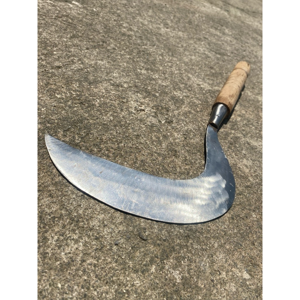 sabit rumput dan padi baja asli super tajam