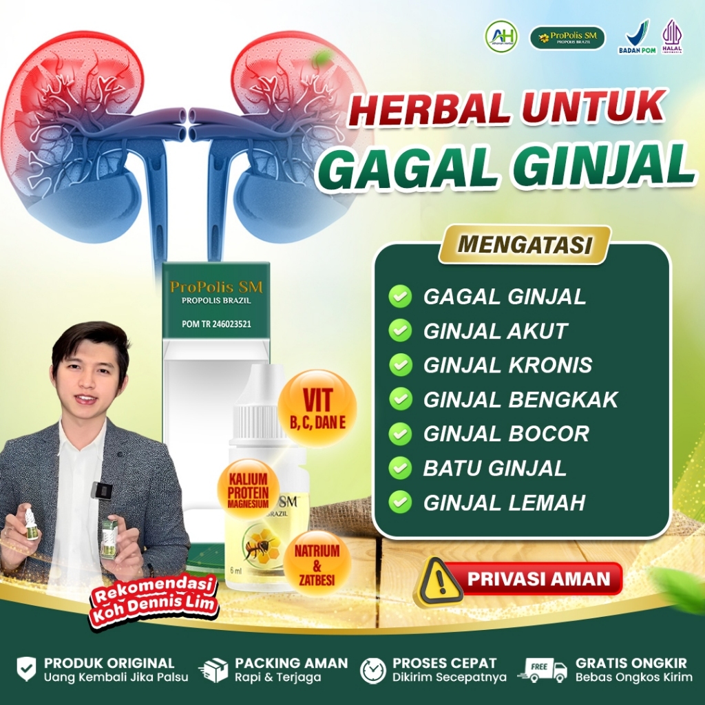 Obat Gagal Ginjal Cuci Darah, Ginjal Kronis Akut, Ginjal Bengkak, Ginjal Bocor - Propolis SM ASLI