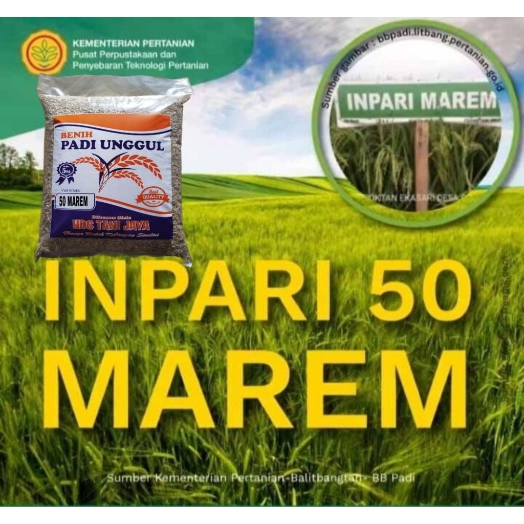 5KG BENIH PADI INPARI-50 MAREUM ORIGINAL LABEL PUTIH