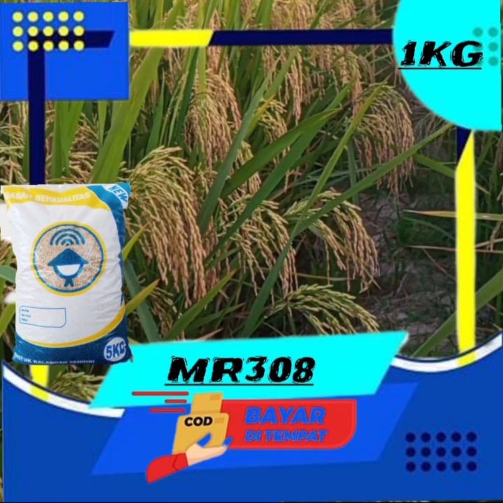 benih padi MR308 isi 1kg