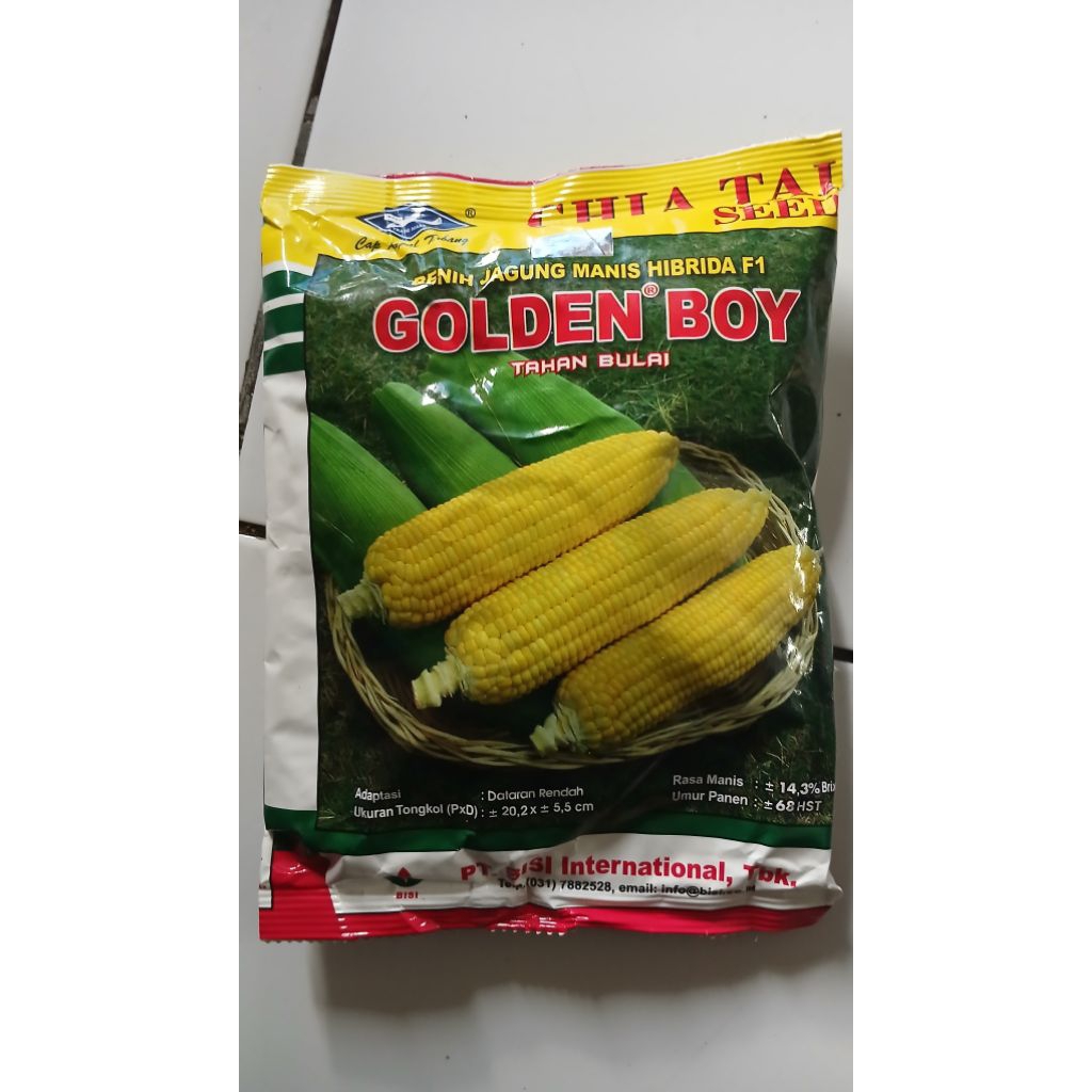 Benih Bibit Jagung Manis Golden Boy F1 250gr 250 gr gram Kapal Terbang