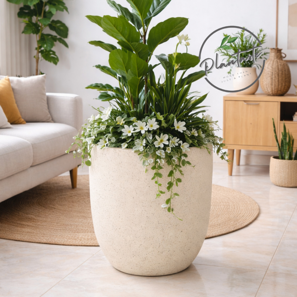 Pot Kapsy Big Size Pottery Cream Series | Pot Gerabah Tanah Liat Ukuran Jumbo Motif Terazzo Krem | P