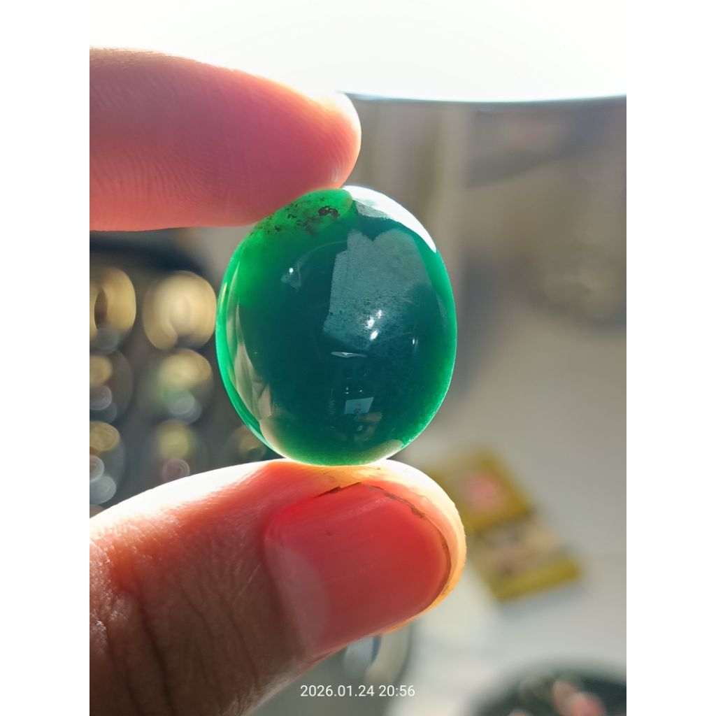 HIJAU GARUT MARSIH SIAP NAIK RING