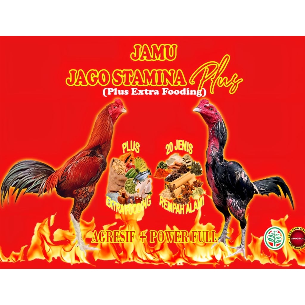 jamu ayam bangkok jago stamina plus extra fooding