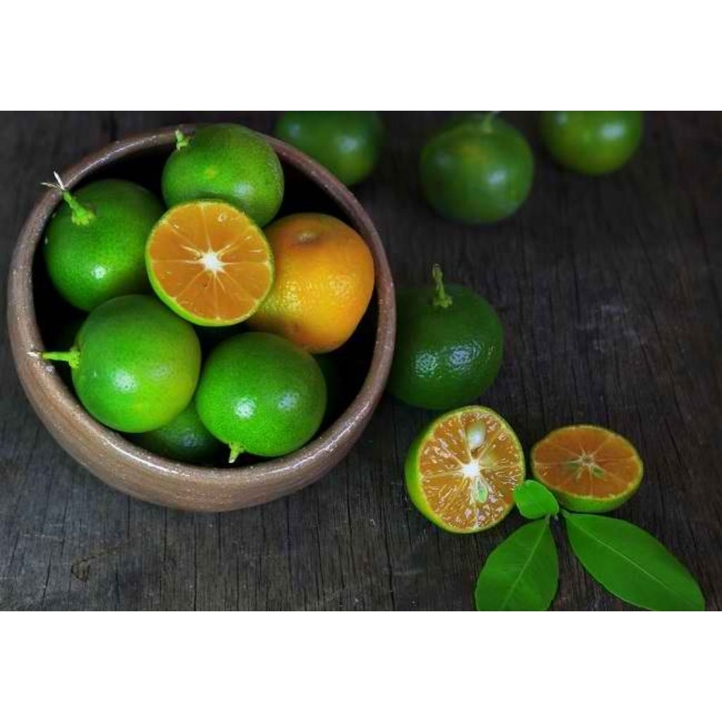 Jeruk Limau/Jeruk Kesturi Segar