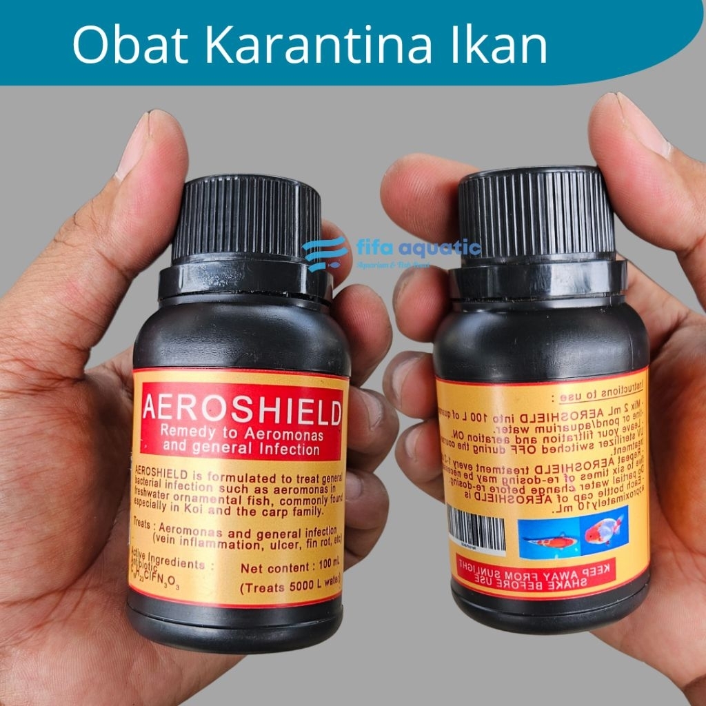 AEROSHIELD obat aeromonas karantina ikan koi