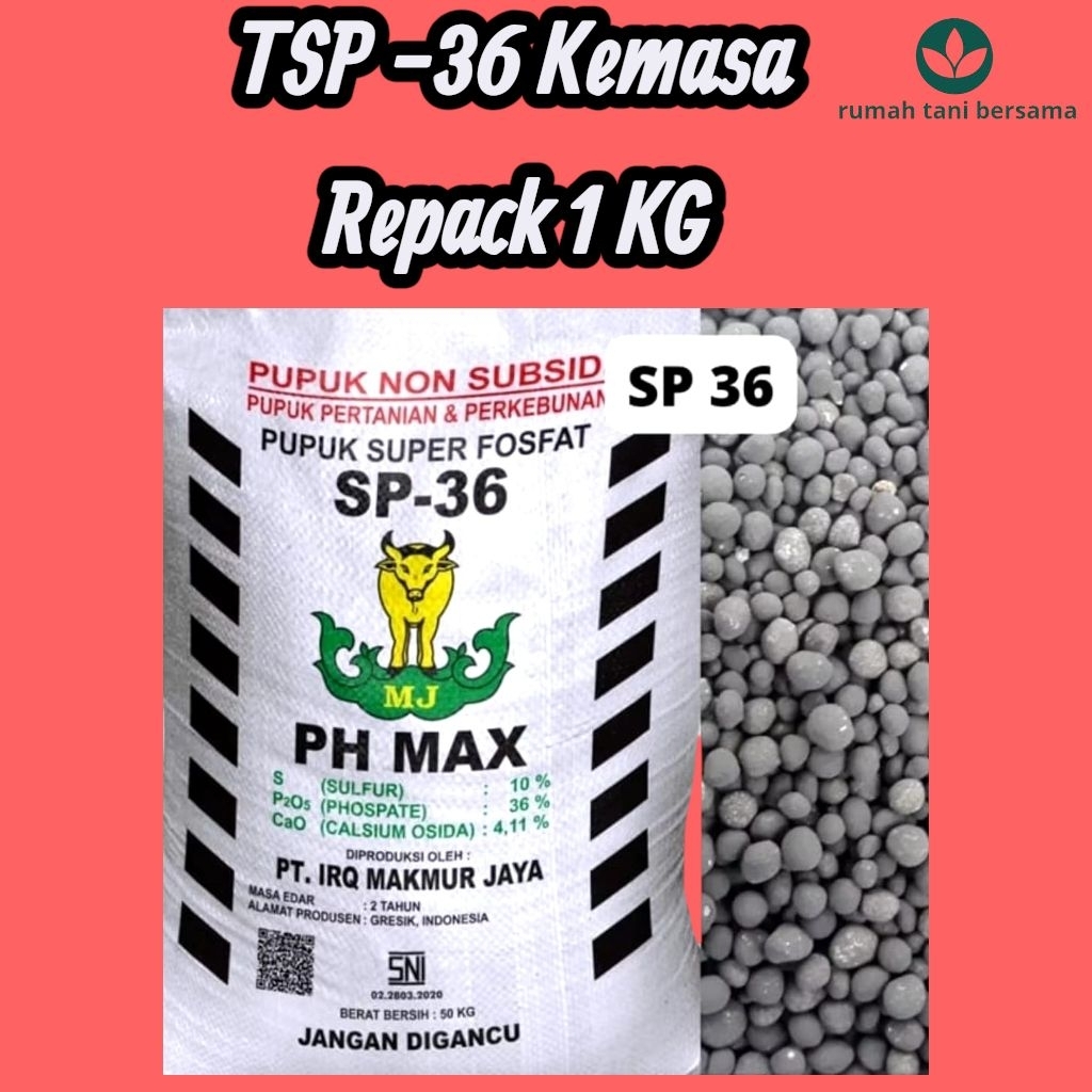 TSP -36 Kemasan repack 1KG