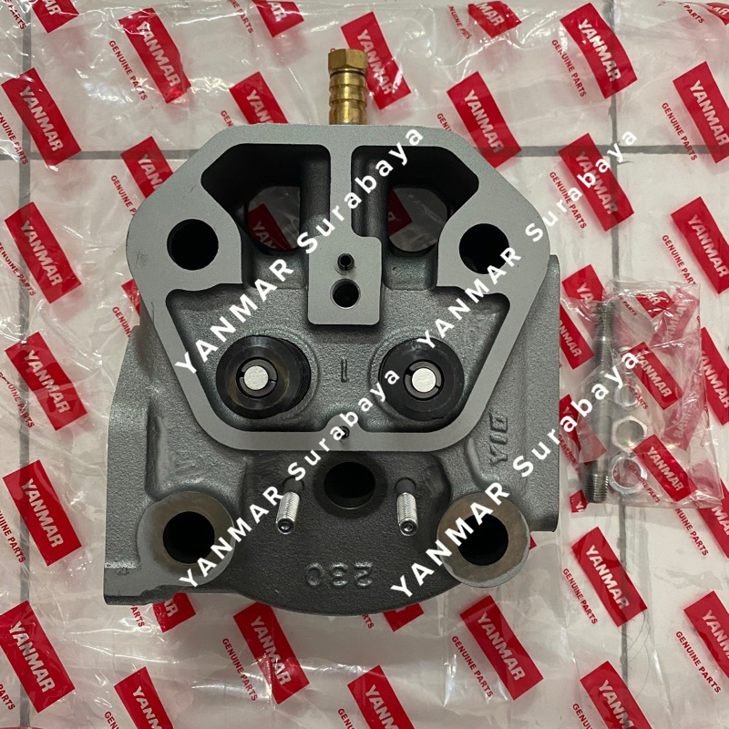 Cylinder head assy Yanmar TS230 10599G-11600R Original