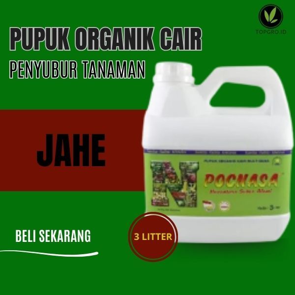 Pupuk Organik Cair Tanaman Jahe / Jahe Putih / Jahe Merah / Jahe Segar Bersih / Tanaman dan Sayur