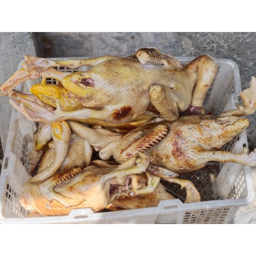 Thoimah - Karkas Entok Jantan dan Betina Siap Masak