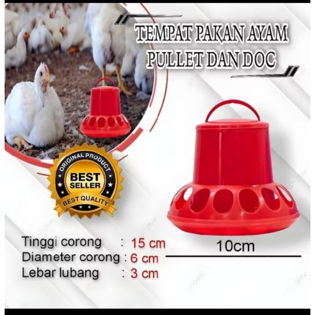 Tempat pakan ayam pullet dan doc