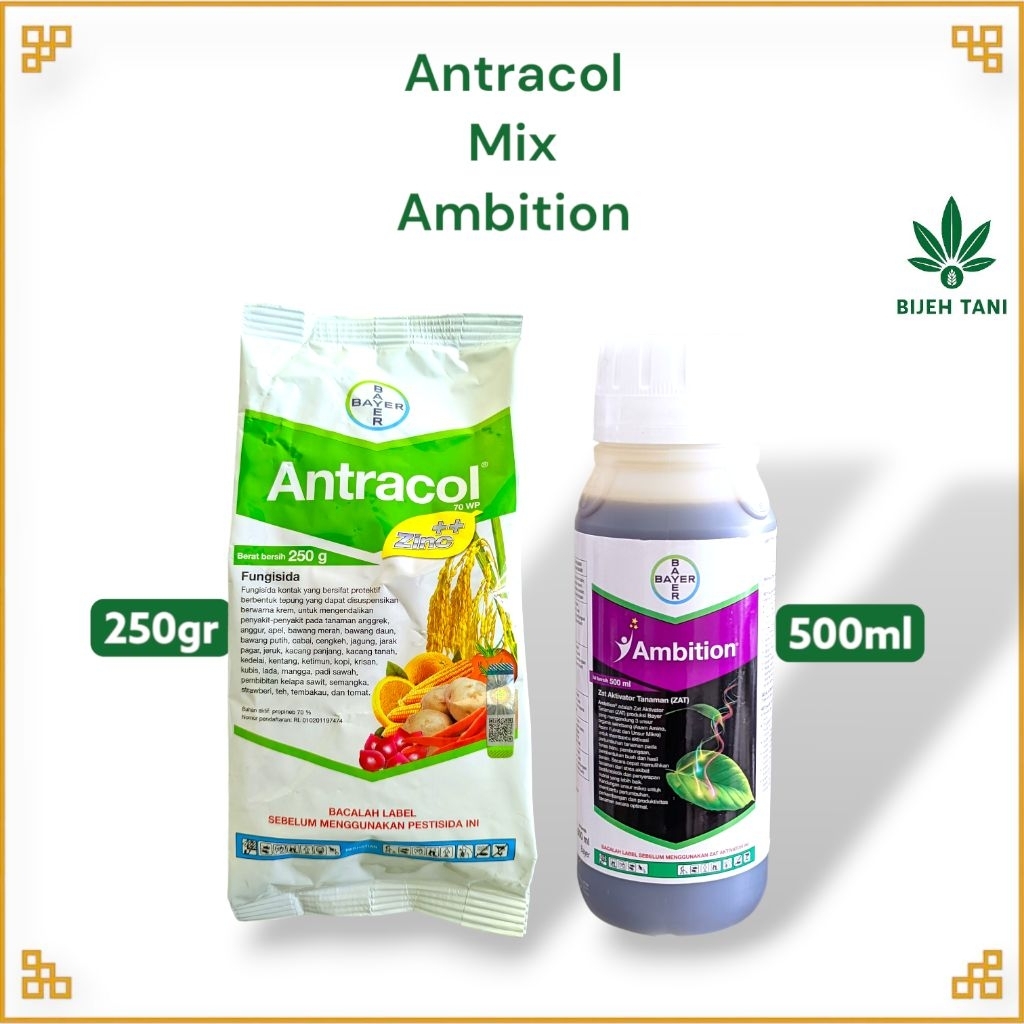 Paket Antracol 250gr + Ambition 500ml Bayer | Fungisida & Zat Aktivator Tanaman
