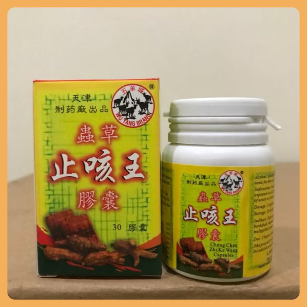 CHONG CHAO ZHI KE WANG Obat Batuk Berdahak - Obat Herbal Cina