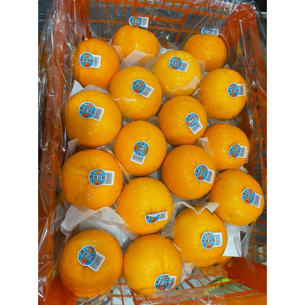 Jeruk Mandarin Jeruk Wogan Premium