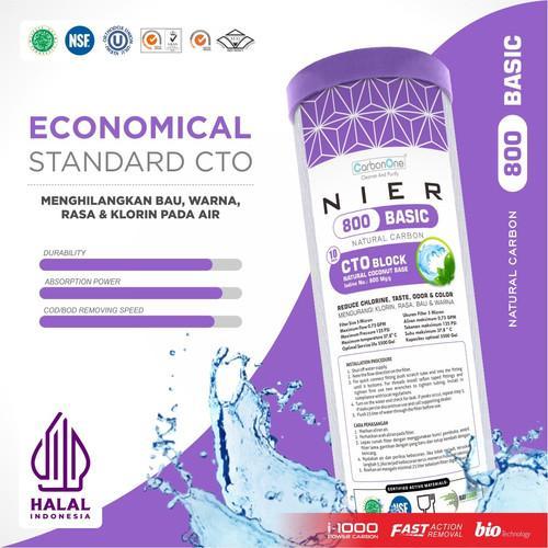 CTO NIER BASIC 800 UNGU CARBON BLOCK 10" Iodine 800