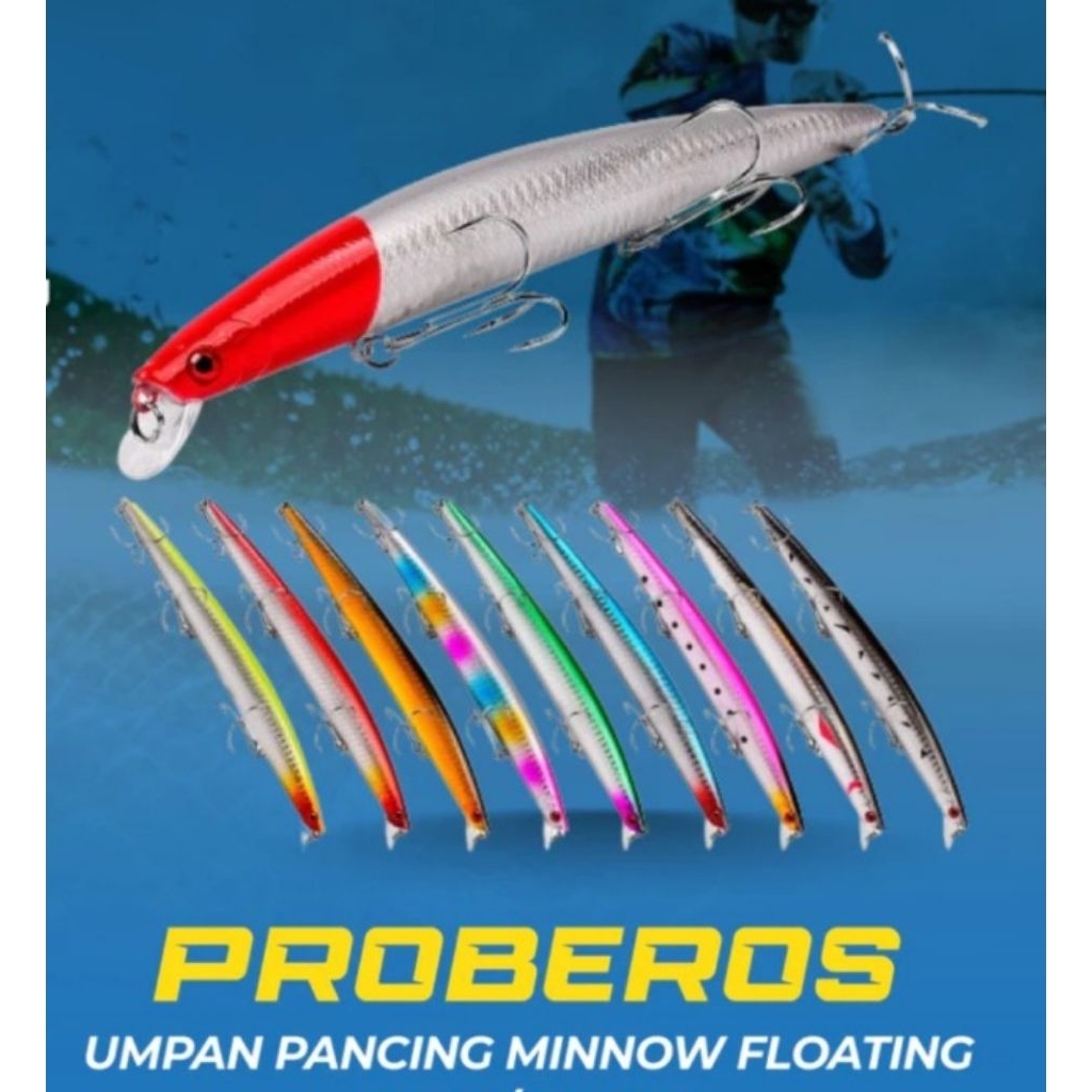 PROBEROS MINNOW UMPAN SINGKING
