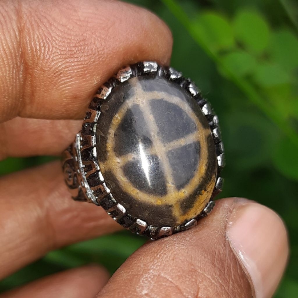 Batu akik tapak jalak kurung