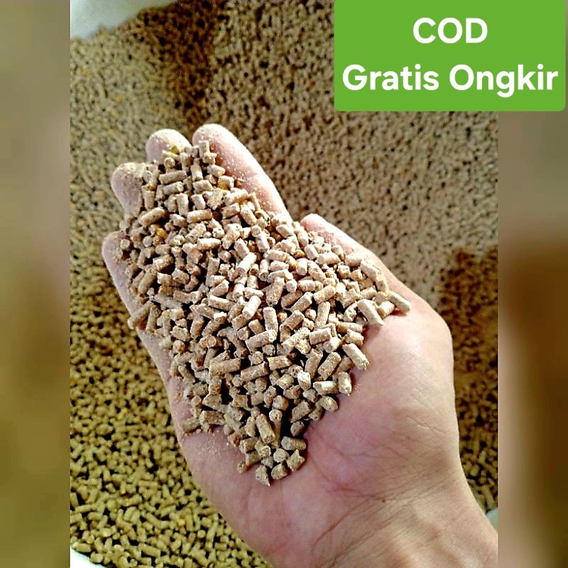 Pur b2 Pur Ayam Bangkok Petarung