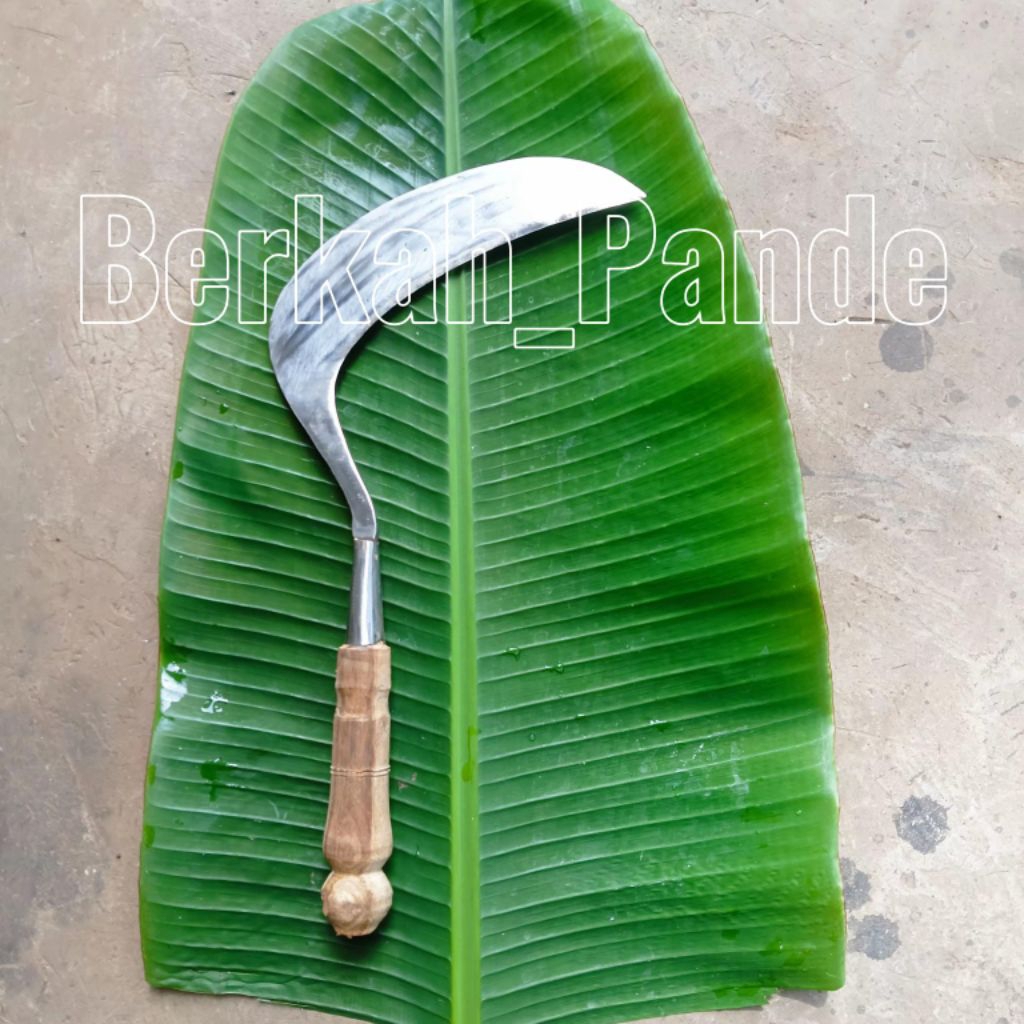 Alat Pembersih Gulma Alat Potong Rumput Alat Perkebunan