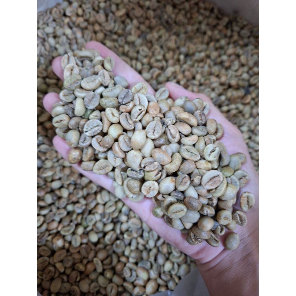 GREENBEAN kopi ROBUSTA biji kopi robusta Jawa tengah, 5 kg