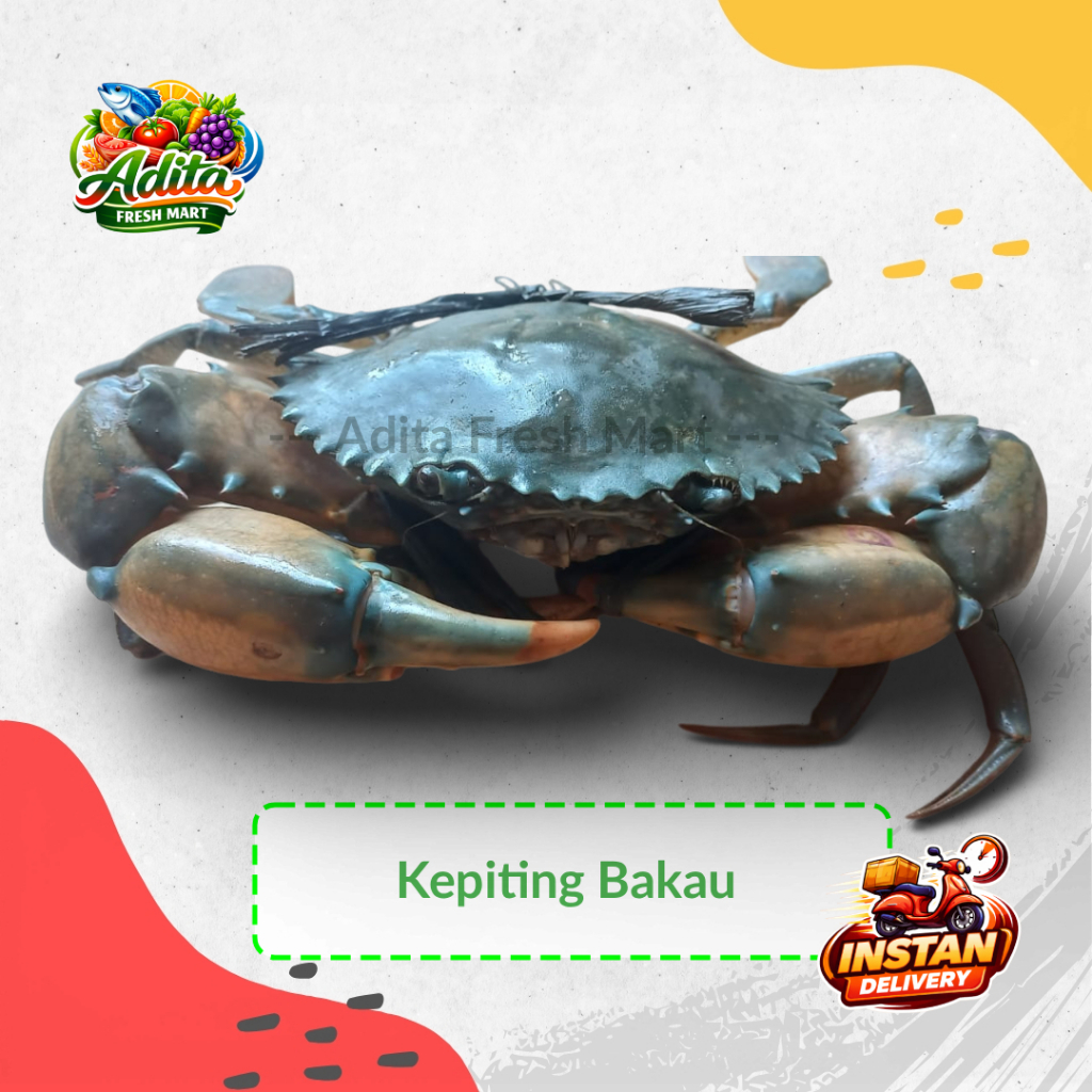 Kepiting Bakau Hidup 1 kg Segar