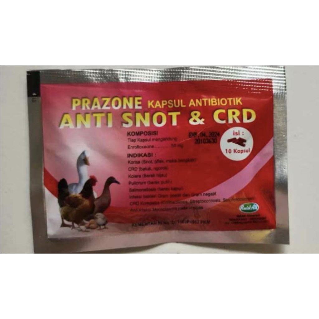 Anti snot prazone obat snot pilek ngorok ayam unggas