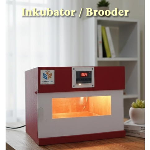Penghangat Anakan Burung Inkubator Penghangat Anakan Burung