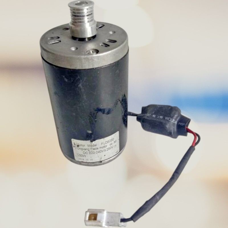 DC Motor Yongkang Flade Motor  FLD5250 220V - 250V DC Permanen Magnet / Motor Magnet Permanen