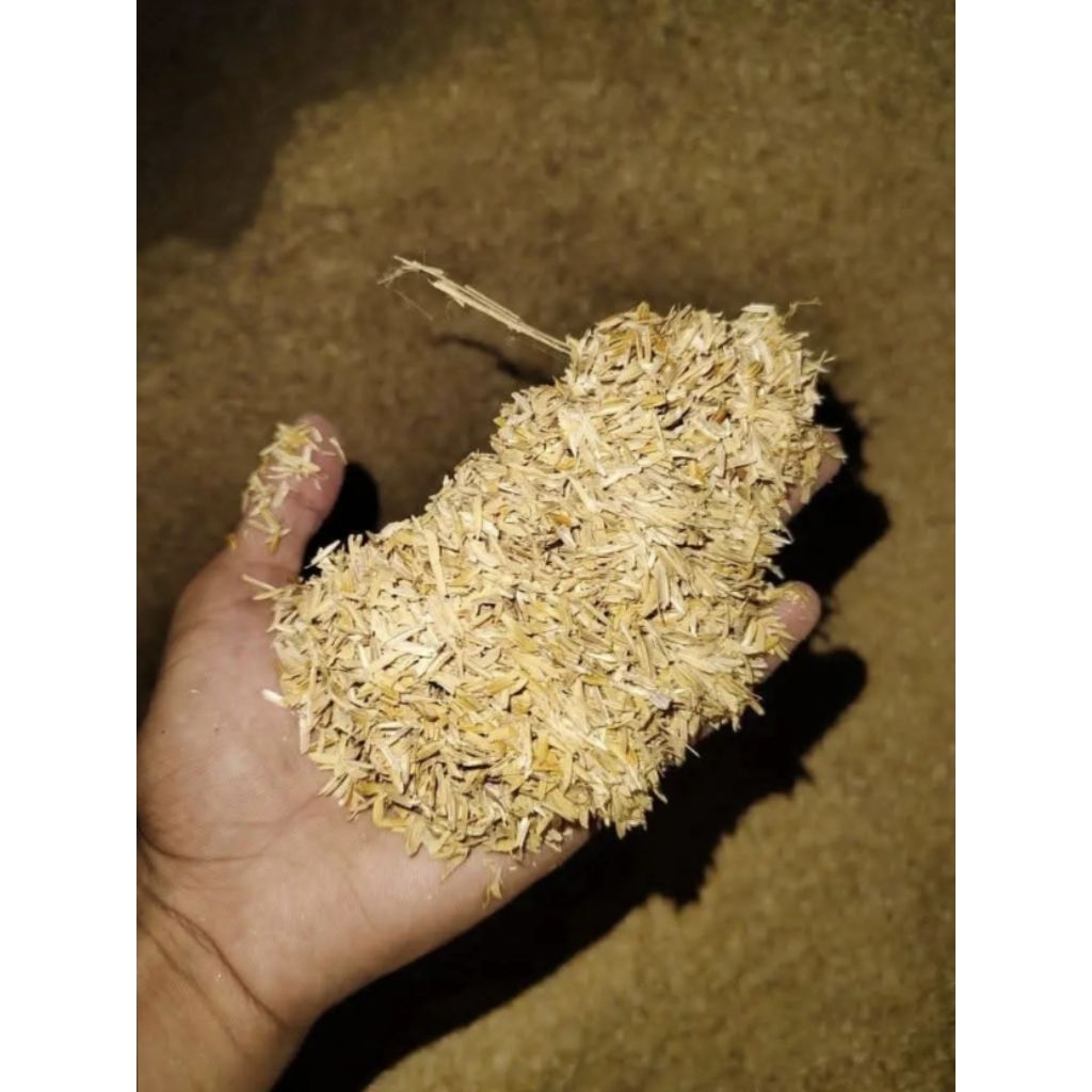 Sekam Padi Mentah 25kg - Premium Murni, Porous, Aerasi Baik