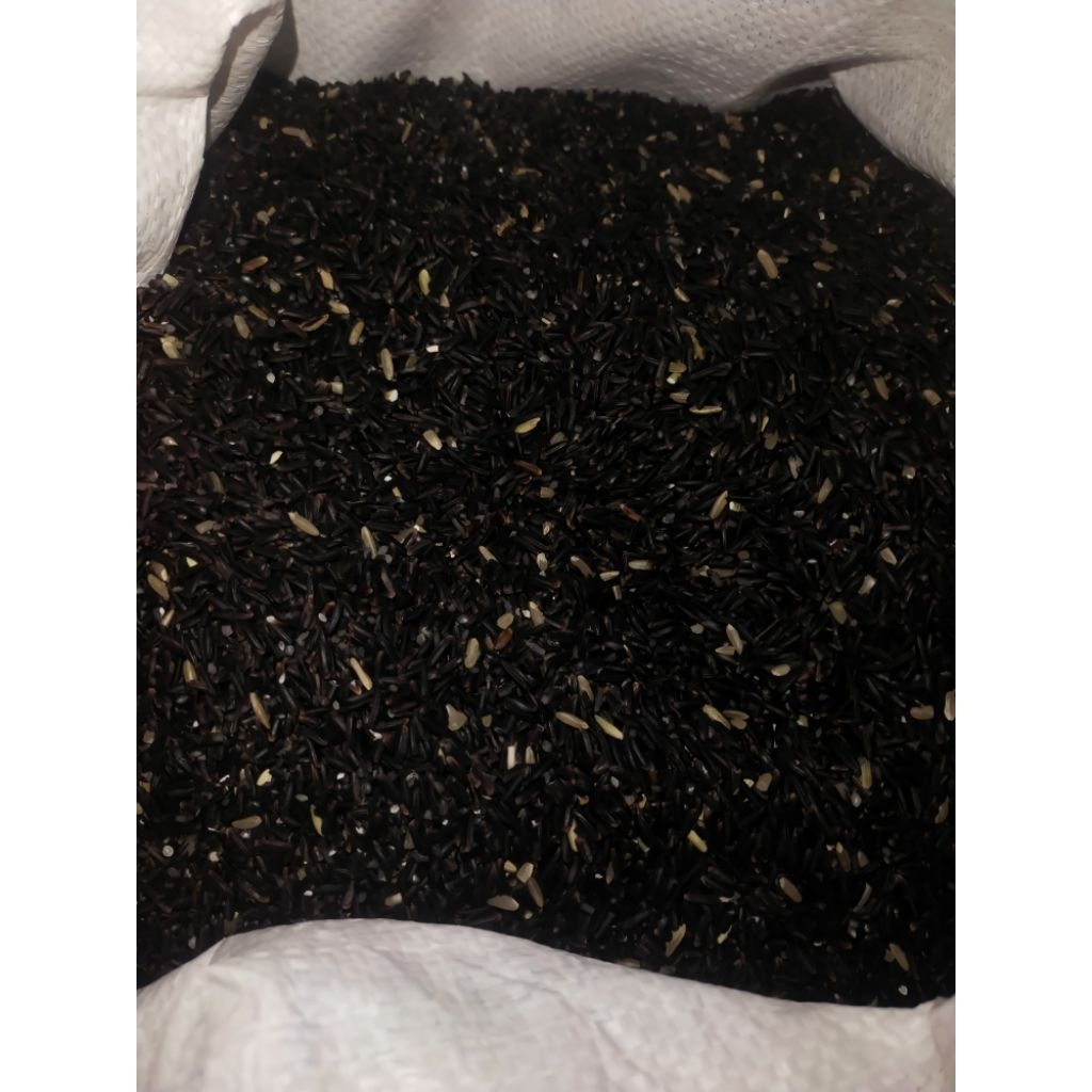 Beras ketan hitam 1kg