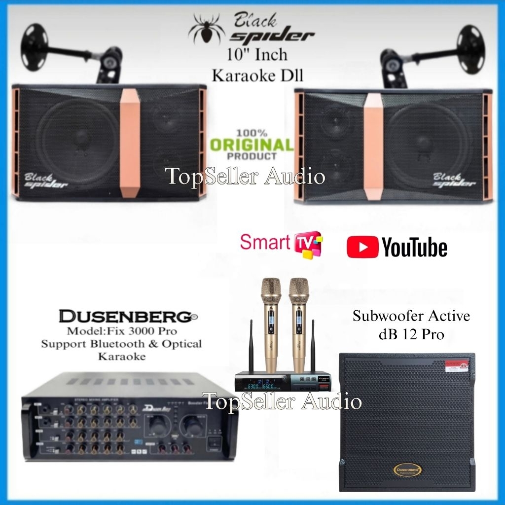 Paket Sound System Karaoke Ruangan Dll BlackSpider 10 Inch SK10 Pro Subwoofer Aktif dB 12 Pro DusenB