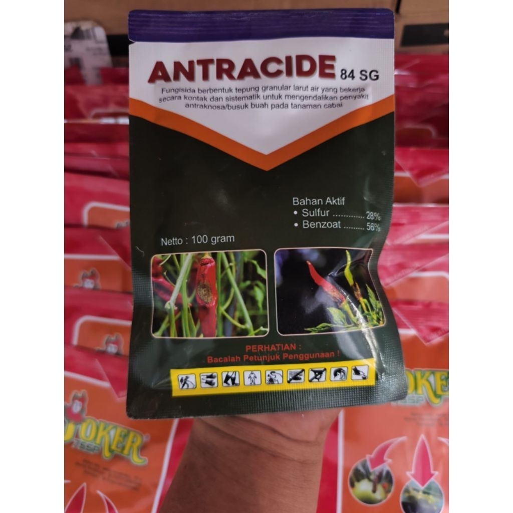 Fungisida antracide 84 sg 100 gram