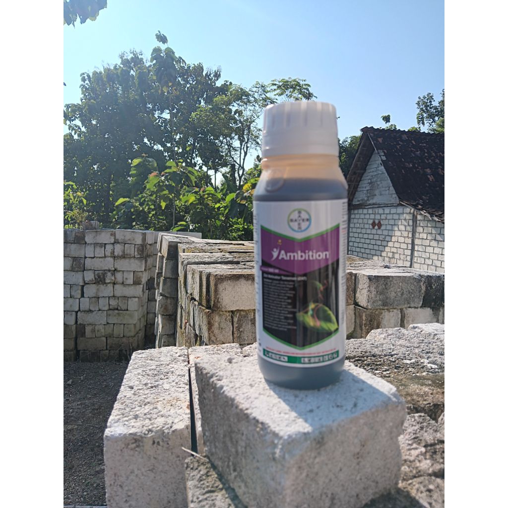 AMBITION 500ml