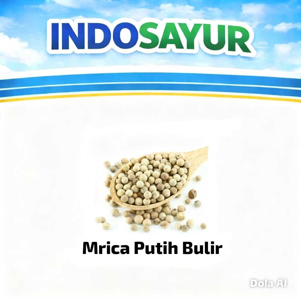 Merica putih butir biji / Lada putih butir