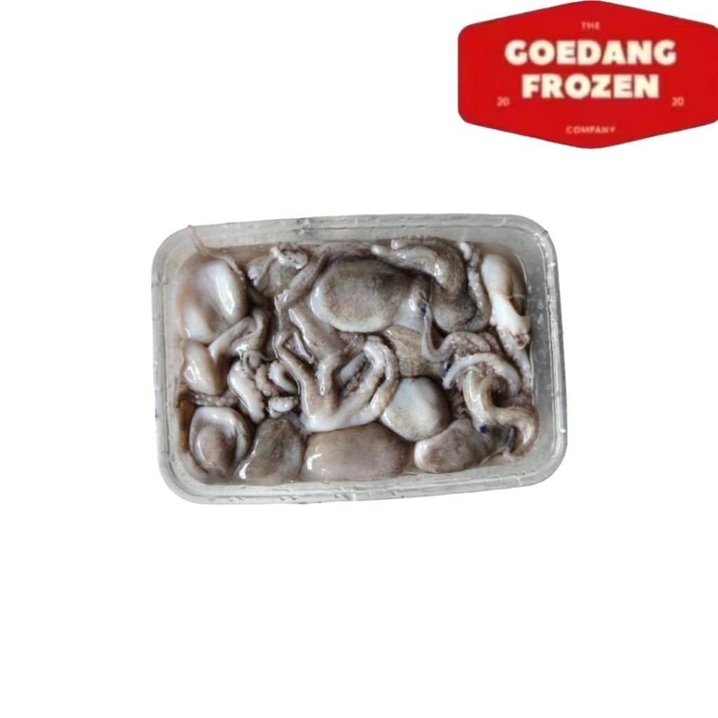 Gurita Segar Frozen 500gr