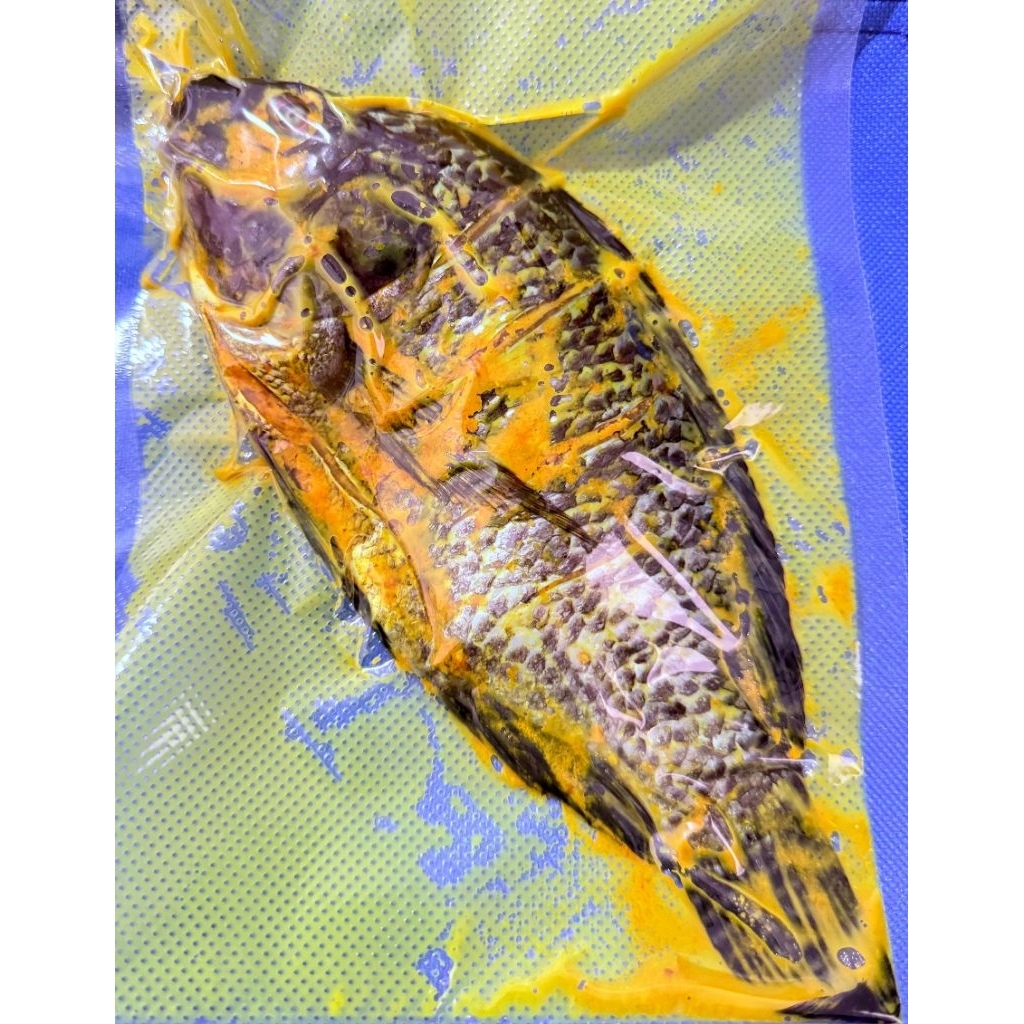 Ikan nila bumbu marinasi