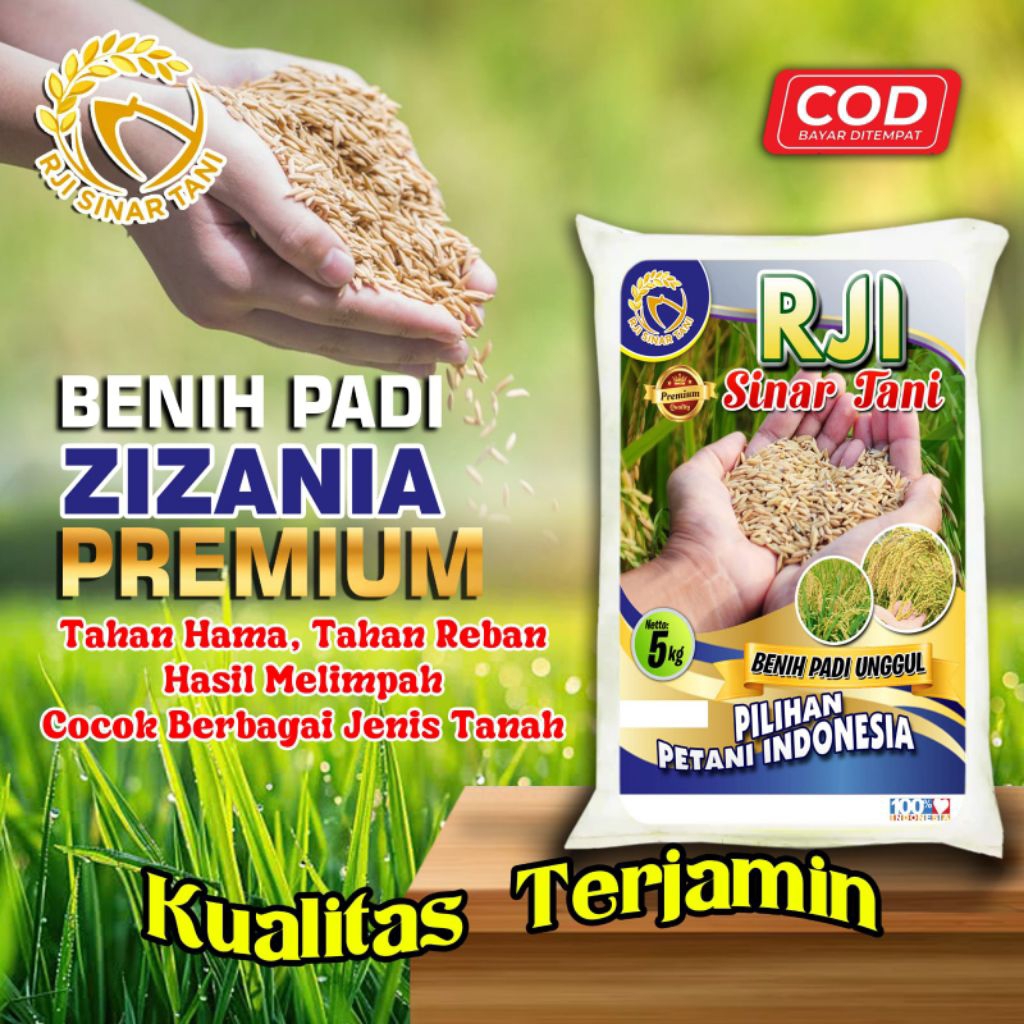 Benih Padi Unggul ZIZANIA 5KG