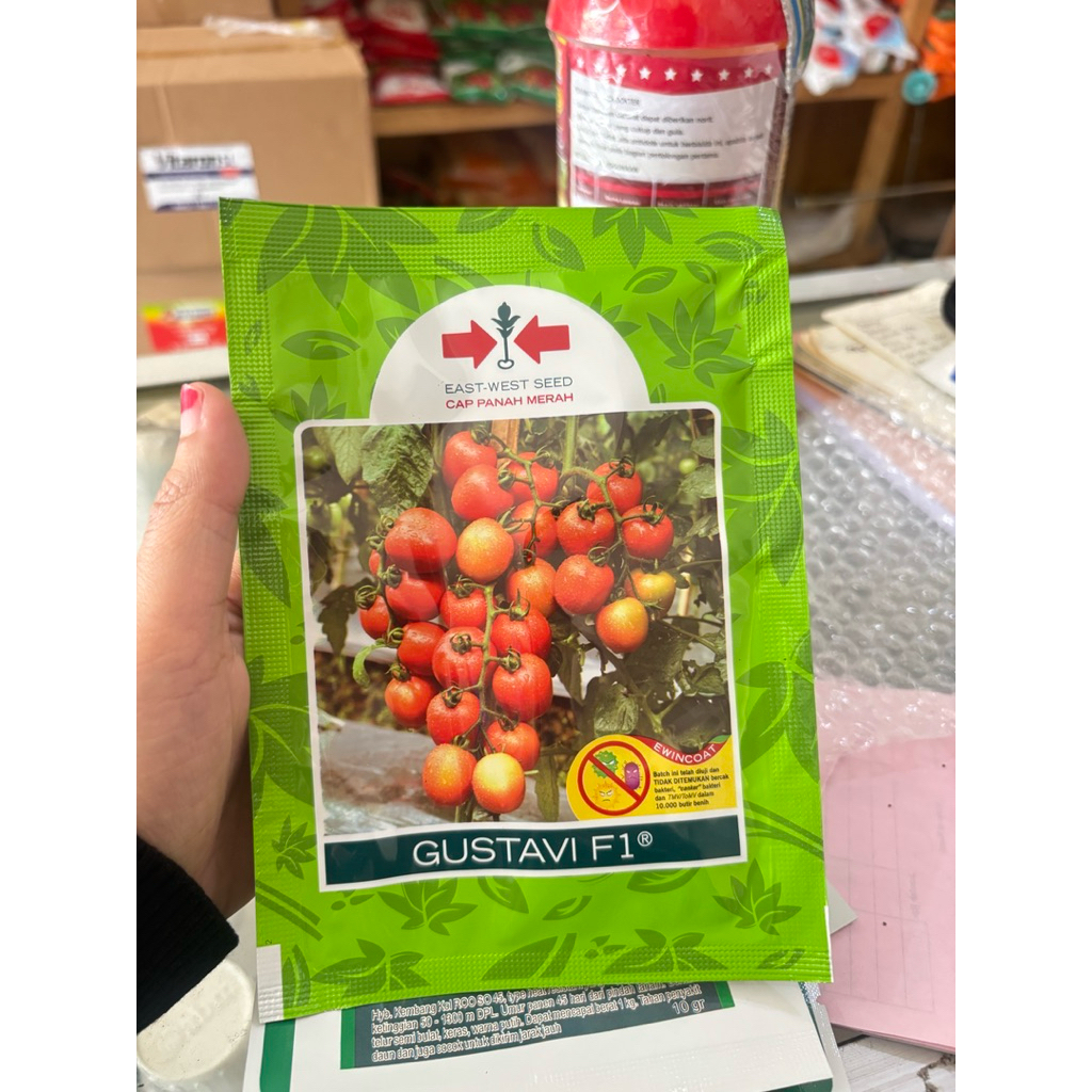 benih tomat gustavi 5 gram - cap panah merah