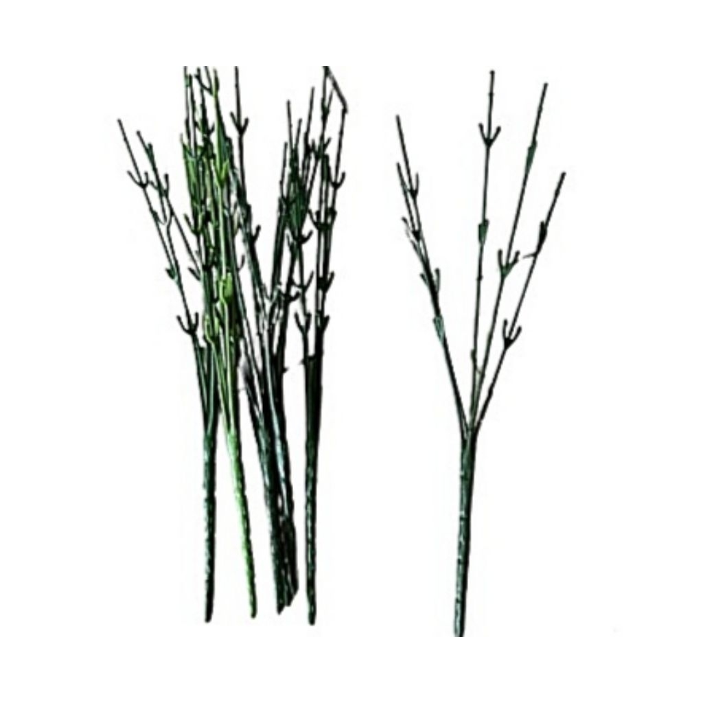 Kawat Batang Cabang Kawat Kawat Hijau Tangkai Minimal 5 Pcs Kawat Cabang Ranting Bunga Kawat Tangkai