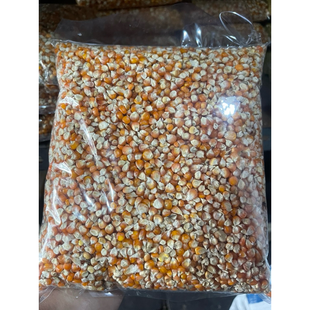 Jagung kering 1 kg
