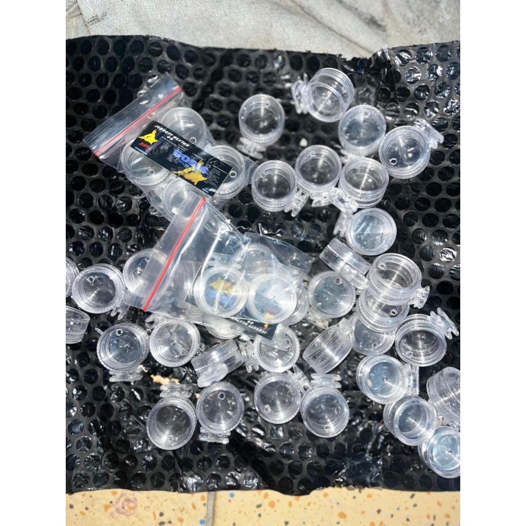 CEPUK NEXTAR BURUNG SOGON/KONIN