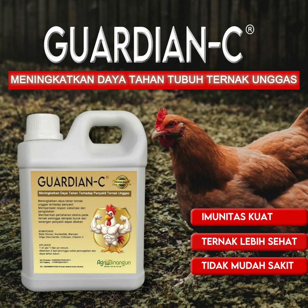 Guardian C Vitamin Ayam Unggas Meningkatkan Daya Tahan Tubuh Ternak