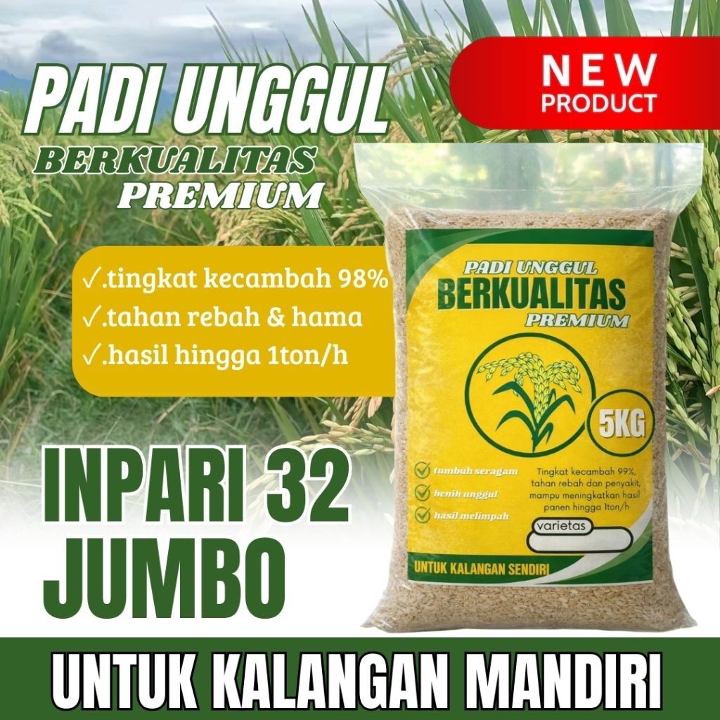 BENIH PADI UNGGUL INPARI 32 JUMBO ORIGINAL 5KG PREMIUM QUALITY