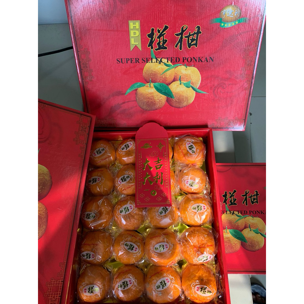 Jeruk Ponkam Imlek isi 20 buah per dus ready