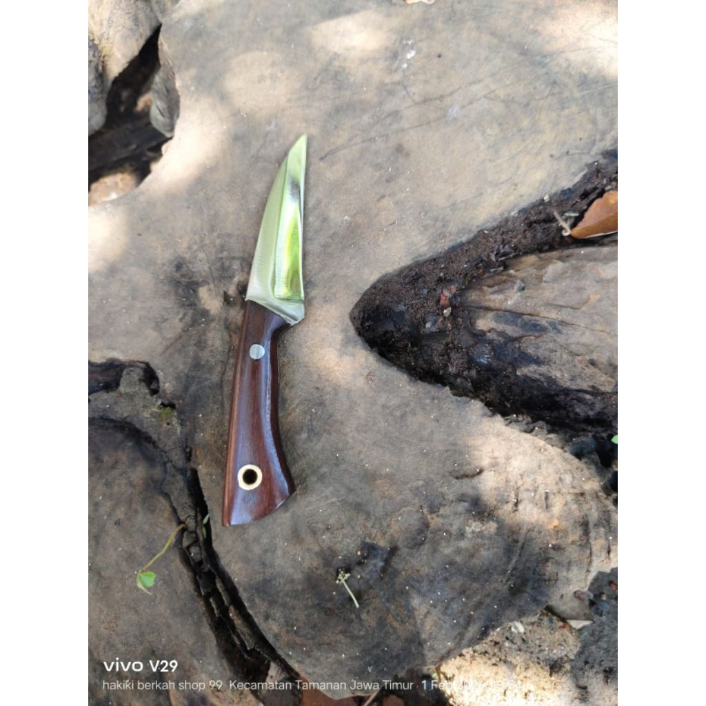 pisau cangkok tanaman antikarat