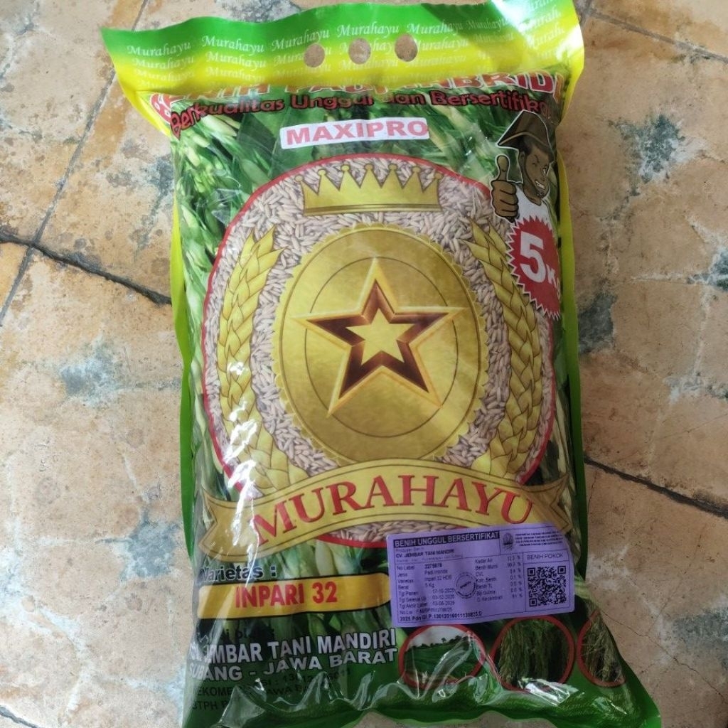 Benih padi inpari 32 subang premium cap maxipro 5 kg tahan rebah