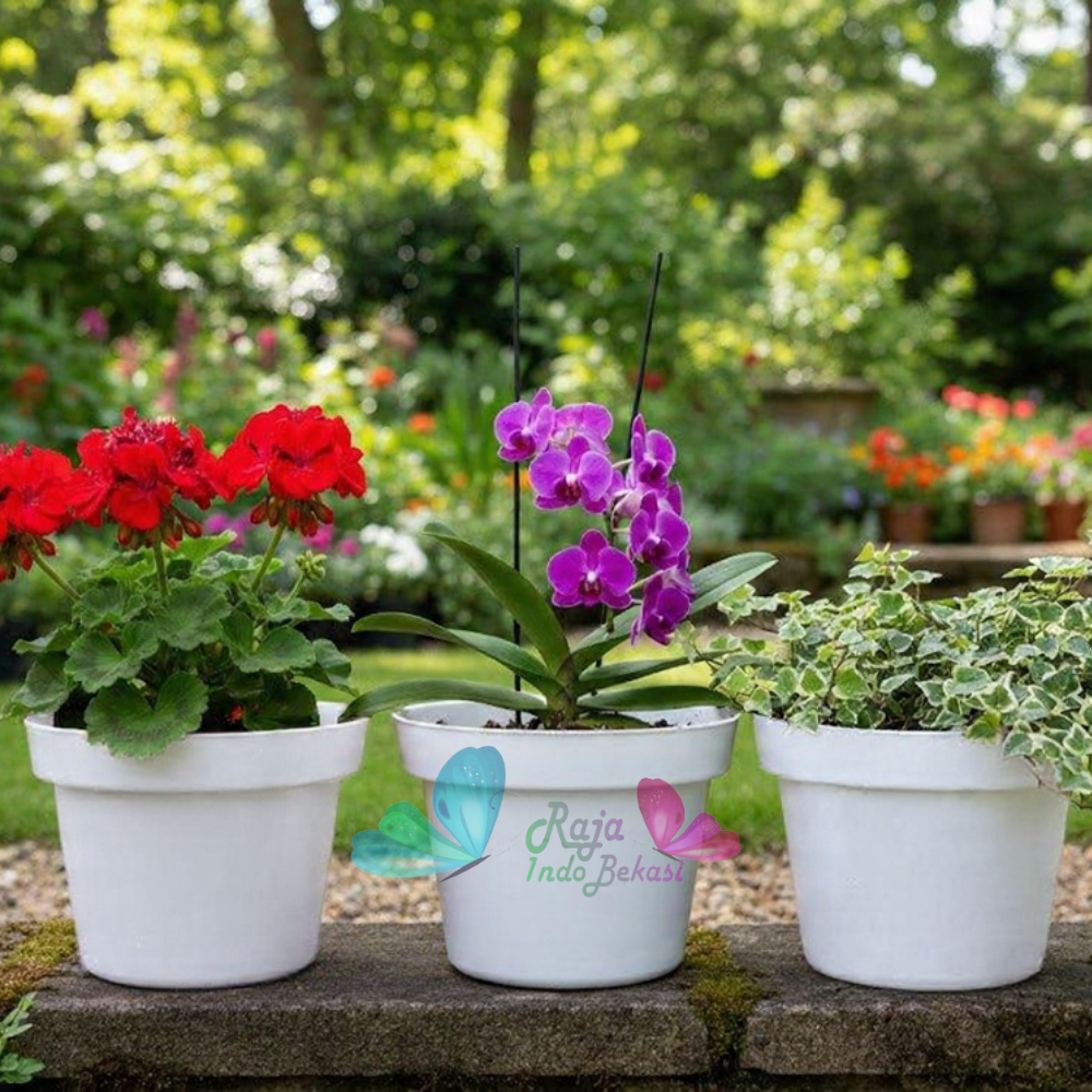 Pot Bunga 20 Putih Hitam Merah Bata Coklat Terraccota Terakota Polos Pot Bunga Hias Grosir Murah Pla
